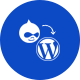 Drupal to WordPress