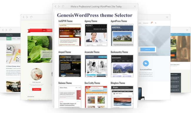 wordpress themes