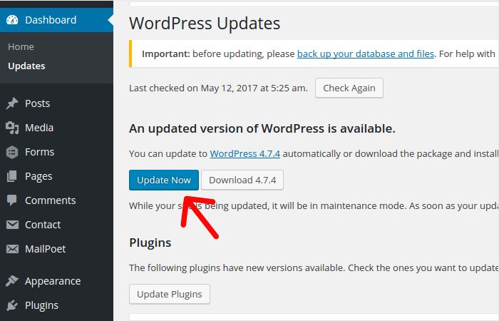 Update WordPress Website