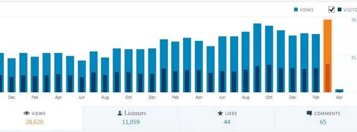 Website Stats