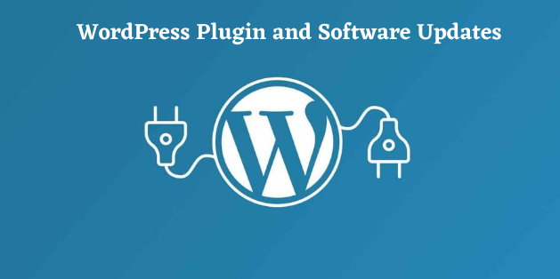 WordPress Plugin and Software Updates