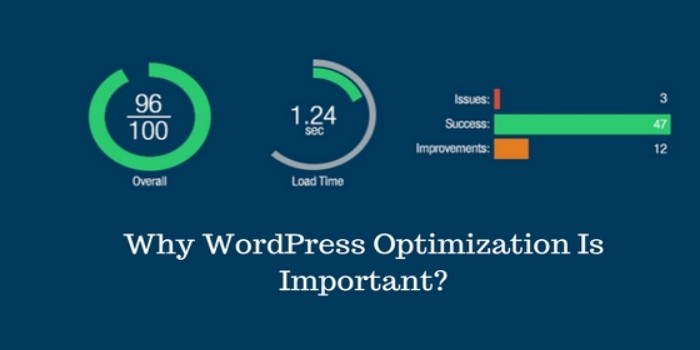 WordPress Optimization