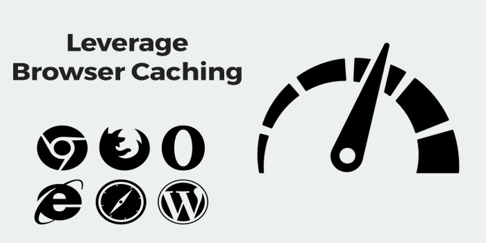 leverage browser caching