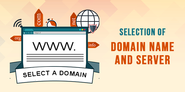 Select a Domain