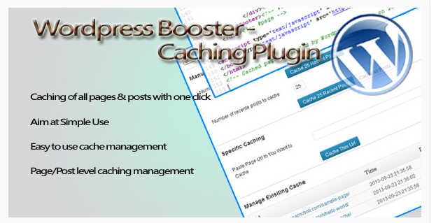 WordPress Booster 