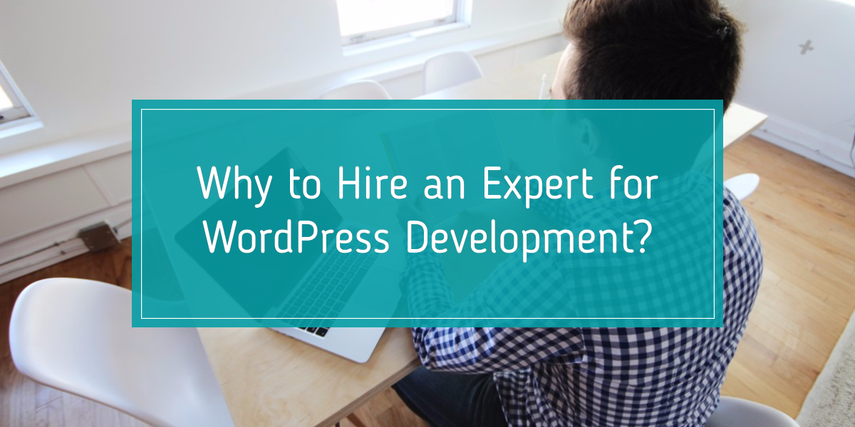 Why To Hire An Expert For WordPress