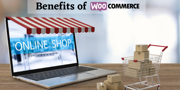 Benefits of woocommerce