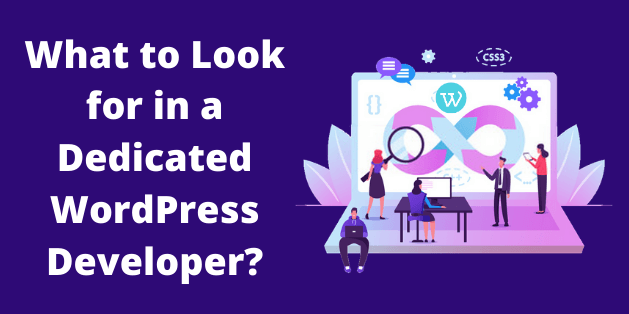 What to Look for in a Dedicated WordPress Developer