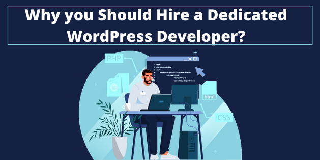 Why you Should Hire a Dedicated WordPress Developer