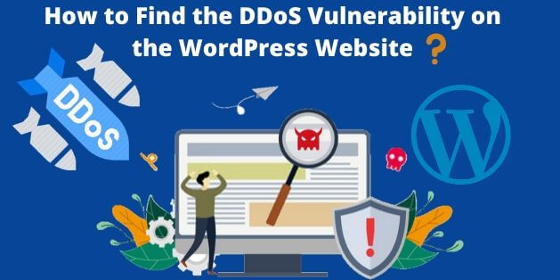 How to Find the DDoS Vulnerability on the WordPress Website