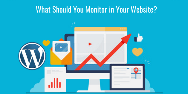 What Should You Monitor in Your Website